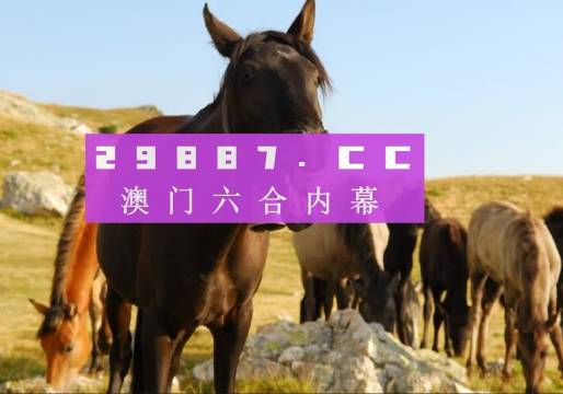 简报 第9页