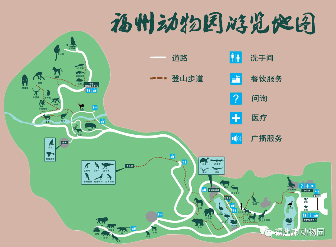 漳州动物园最新动态与探索