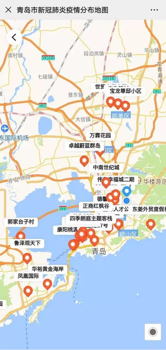 青岛20号最新疫情动态