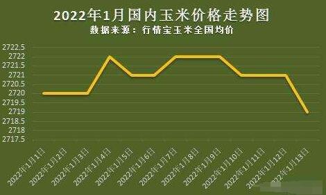 今日玉米行情最新分析