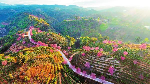 最新云南消息，多彩的云岭大地新动态