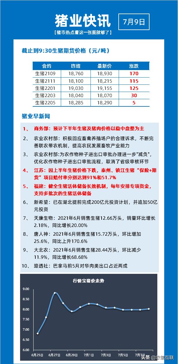 全国最新猪价信息深度解析