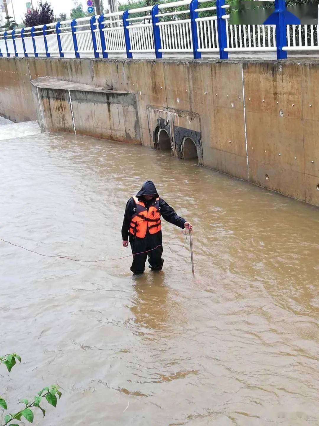 河北强降雨最新信息，风雨中的坚守与希望