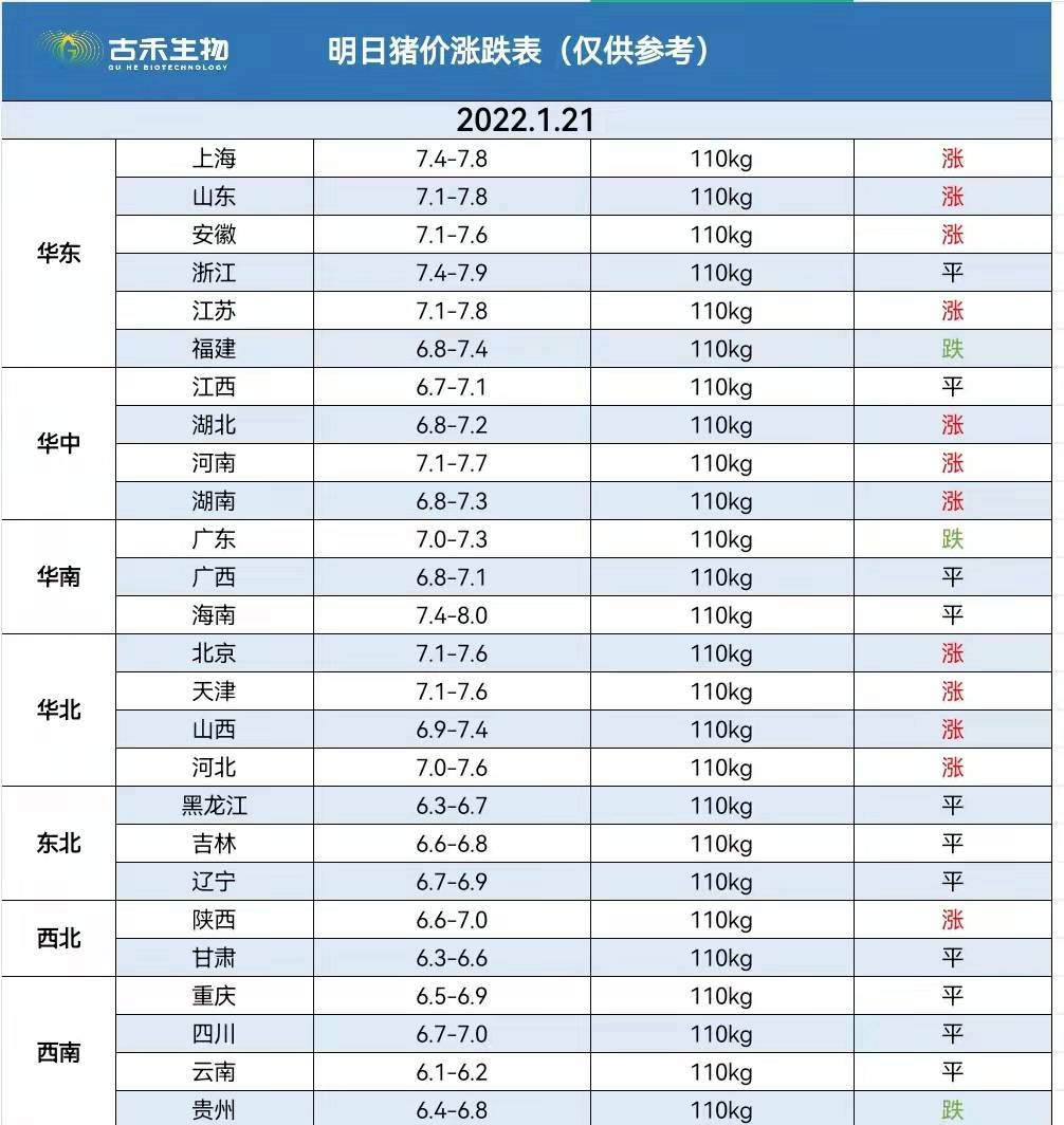 最新猪价上涨消息，市场动态与解析