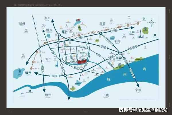 疫情最新通报信息深度解析