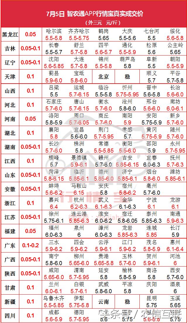 明日猪价最新信息，市场动态与未来走势分析