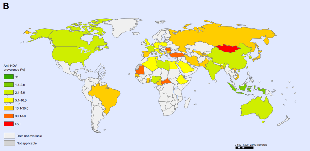 病毒最新地图，全球疫情的深度解析