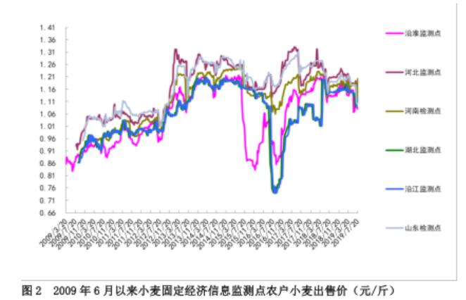 今日山东小麦市场最新价格分析