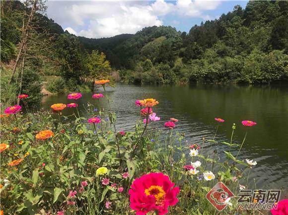 云南文山最新项目，开启绿色发展新篇章