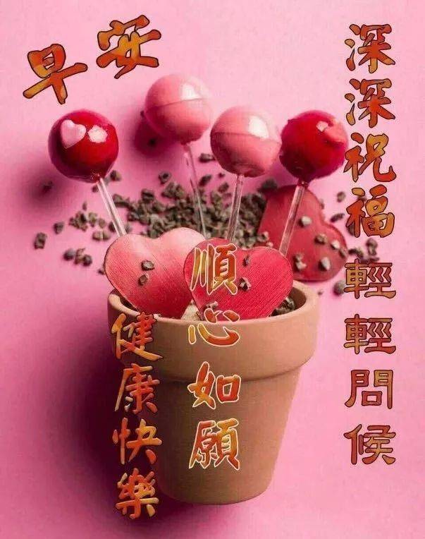 今日最新问候图语，传递温暖与祝福的美丽瞬间