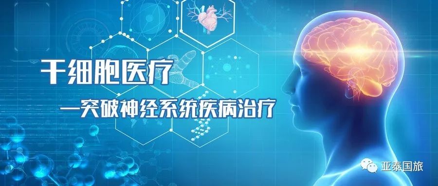 干细胞最新版，科技前沿的突破与未来医疗的希望