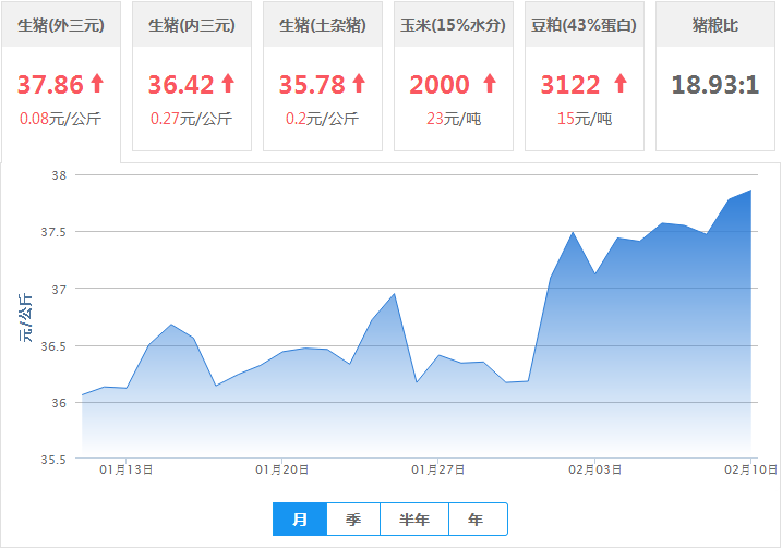 国内最新生猪价格走势分析